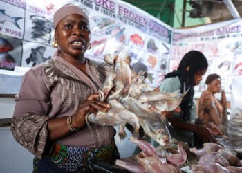 Nigeria Spending $1bn Yearly on Fish Imports Despite Vast Marine Resources—Dangote