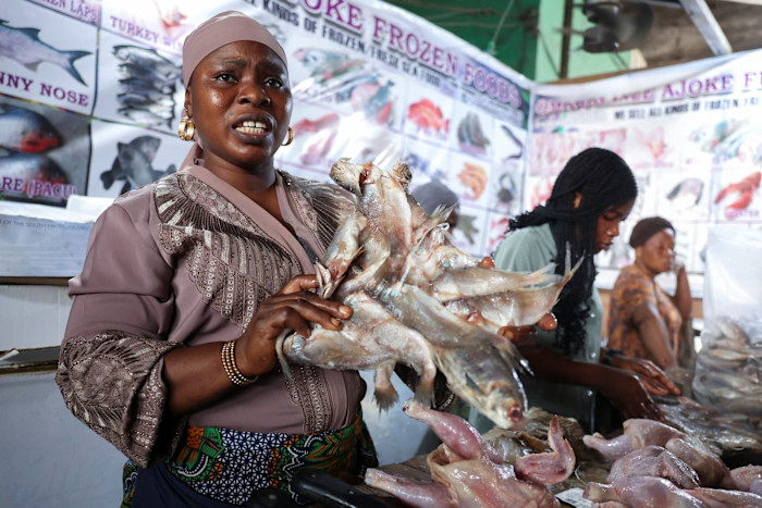 Nigeria Spending $1bn Yearly on Fish Imports Despite Vast Marine Resources—Dangote