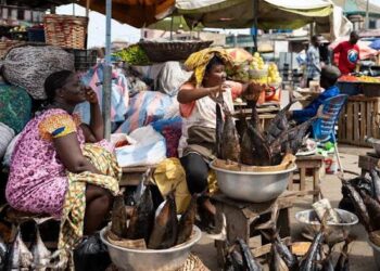 FG Pushes For Freer Movements To Boost Trade In African