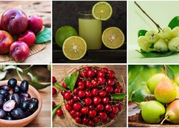 Fruits For Raining Season