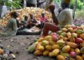 FG Targets Higher Value From Non-Oil Exports