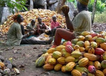 FG Targets Higher Value From Non-Oil Exports