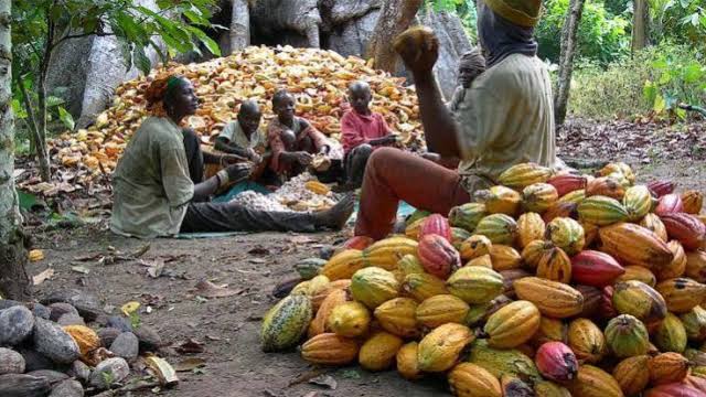FG Targets Higher Value From Non-Oil Exports