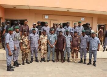 Nigeria, Benin Customs Fortify Border Security with Geospatial Technology Partnership
