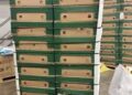 Italy and UK Each Find Cocaine Hidden in Shipments of Bananas