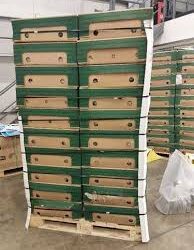 Italy and UK Each Find Cocaine Hidden in Shipments of Bananas