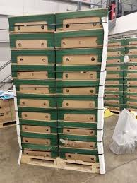 Italy and UK Each Find Cocaine Hidden in Shipments of Bananas