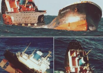 SHIPTALK: Place Of Refuge   (1)