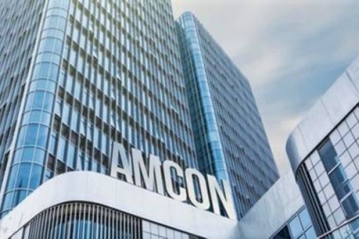 AMCON's Seized Maritime Assets Lie Idle as Multi-Billion Naira Recovery Cases Drag in Court