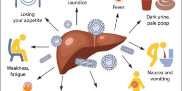 All You Need To Know About Hepatitis