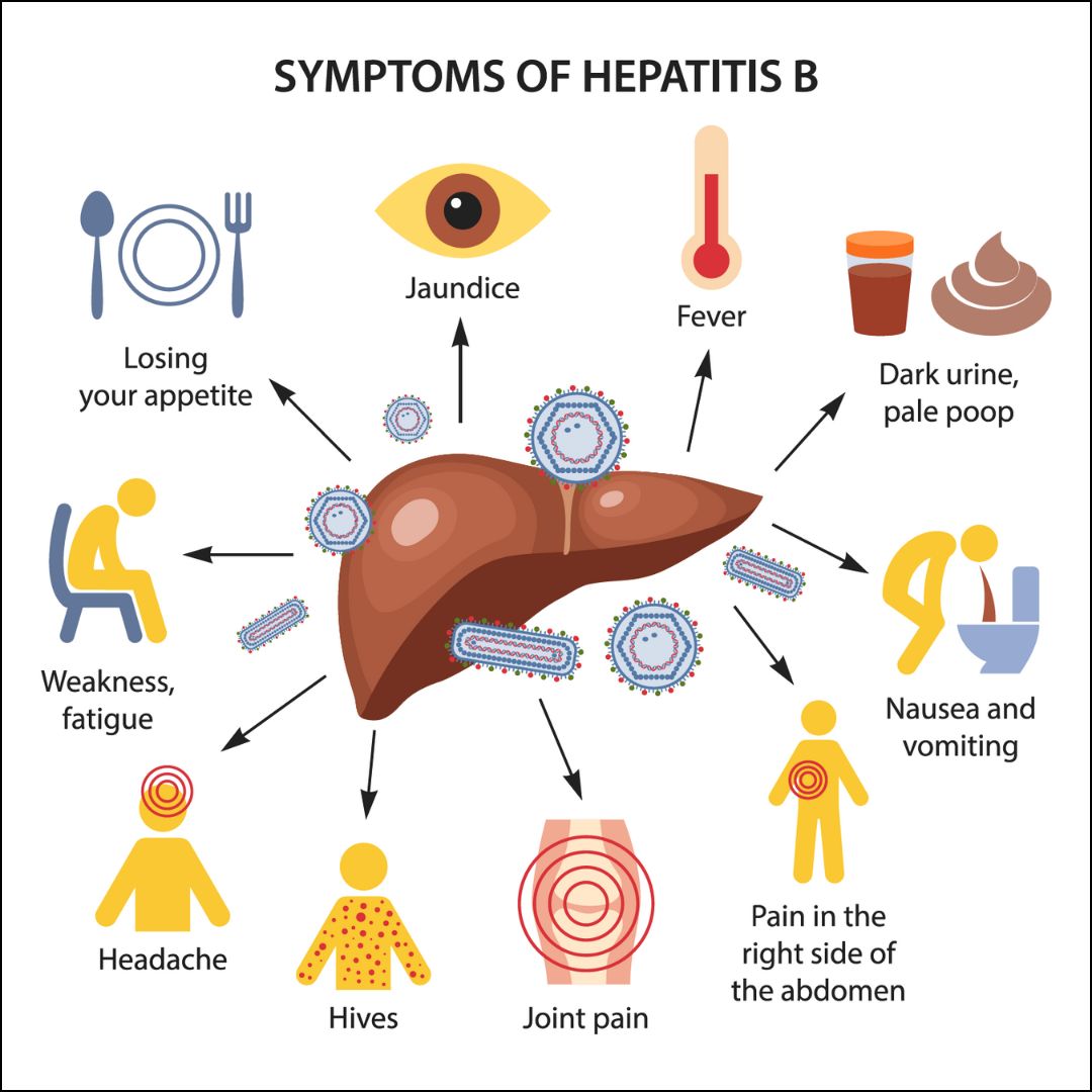 All You Need To Know About Hepatitis