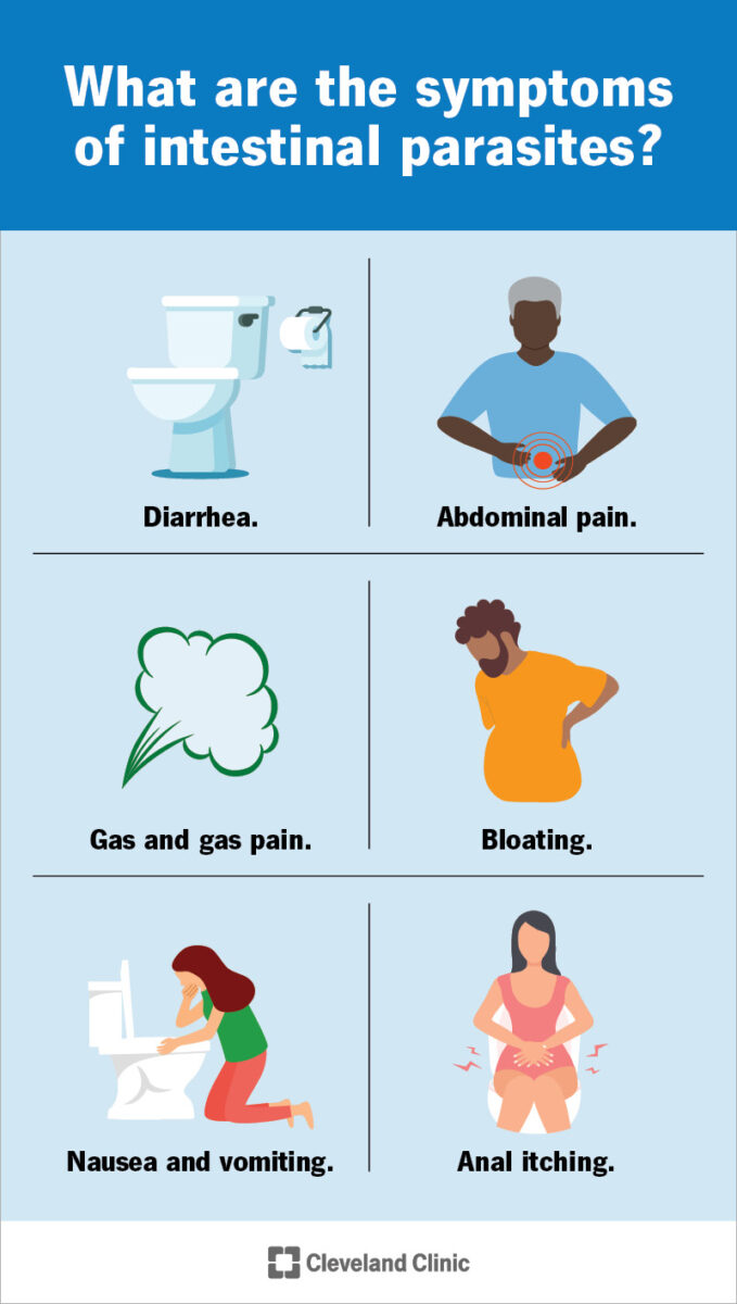 Worms And Your Health