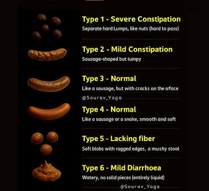 Your Stool Determines The State Of Your Health