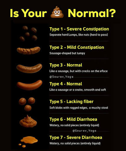 Your Stool Determines The State Of Your Health