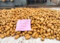 Customs Seizes Cannabis Sativa Worth N2bn In Ogun