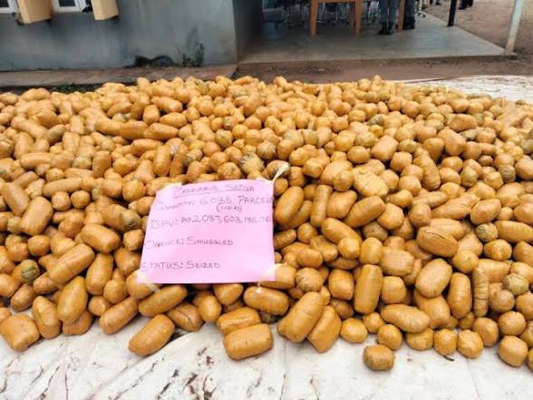 Customs Seizes Cannabis Sativa Worth N2bn In Ogun