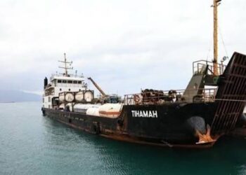 Egypt Disavows Association with Cargo Ship Attacked by Houthis