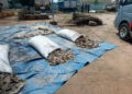 Customs Intercept Endangered Wildlife Products, Petrol Worth ₦362.2m