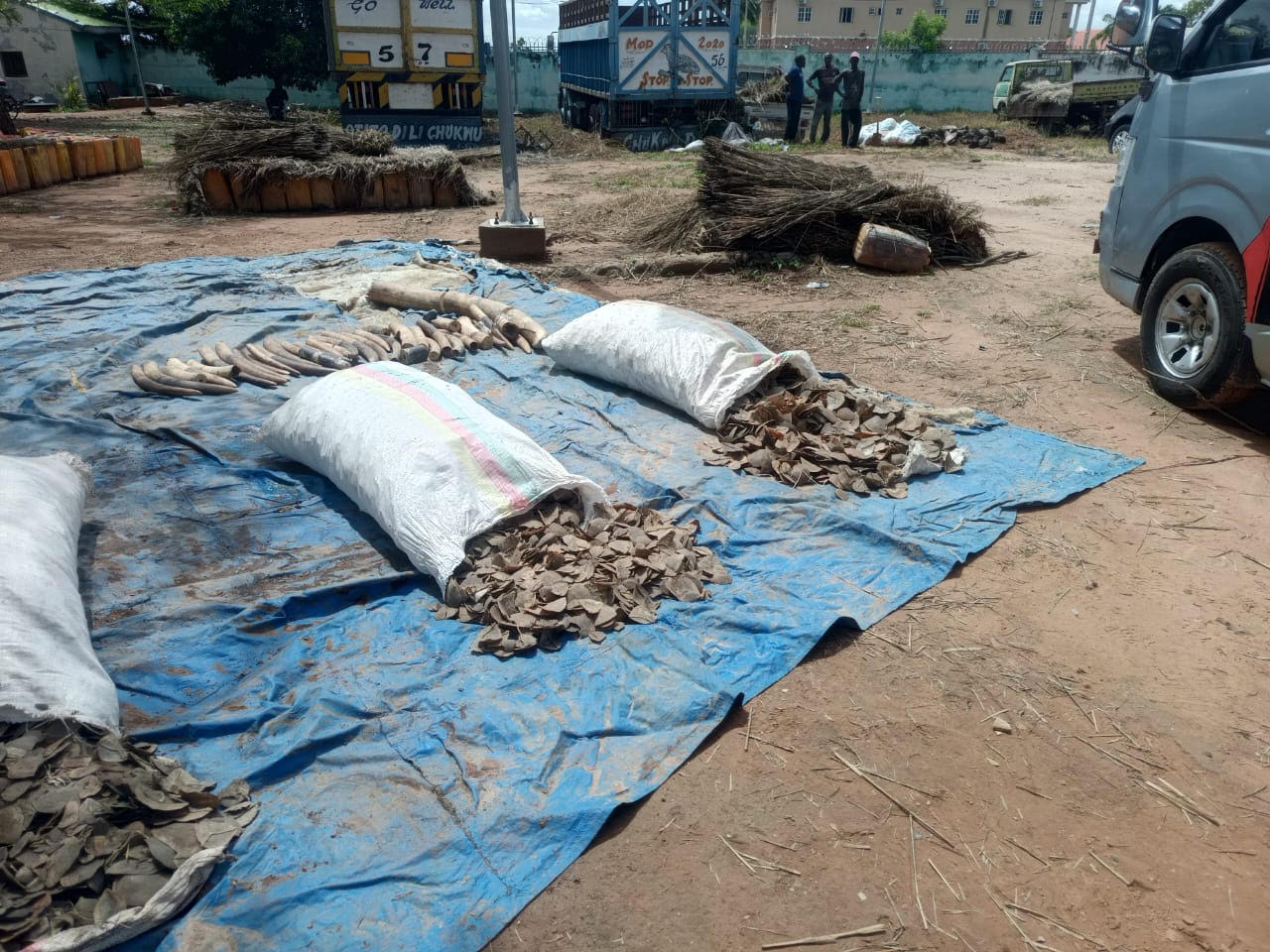 Customs Intercept Endangered Wildlife Products, Petrol Worth ₦362.2m