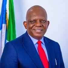 Director-General and Chief Executive Officer of NPERA, Dr. Pius Akutah