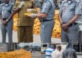 Customs Intercepts N3.95bn Narcotics, Mercury, Arrests Three