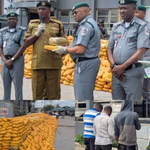 Customs Intercepts N3.95bn Narcotics, Mercury, Arrests Three