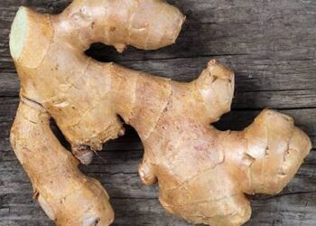 Eat Ginger Every Day and Watch Your Health Bounce Back To Life