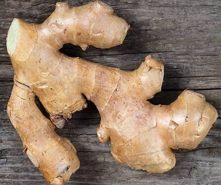 Eat Ginger Every Day and Watch Your Health Bounce Back To Life