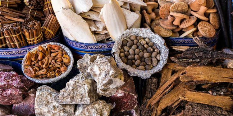 Some Foods That Can Affect Your Kidney In Your 60s And Above