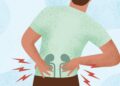 Some Foods That Can Affect Your Kidney In Your 60s And Above