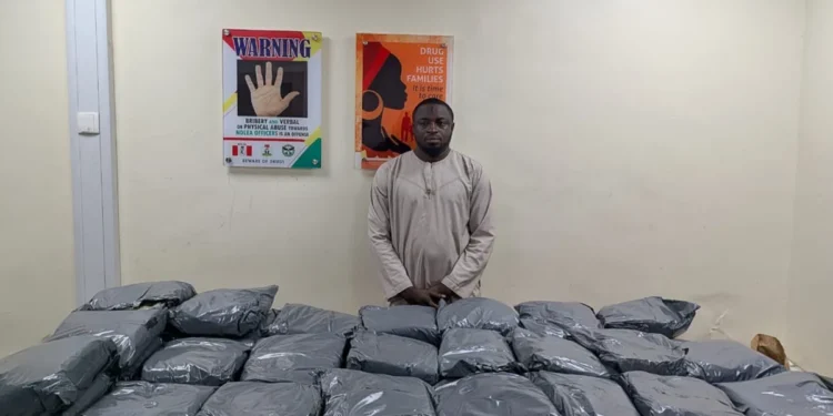 NDLEA Intercepts Colos Shipments From UK, Uncovers Opioids In Lagos