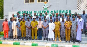 Kebbi Customs Hands Over N223m Toxic Pesticides, Cannabis, Ammunition To Agencies